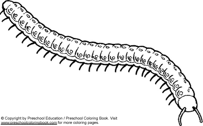 millipede coloring pages