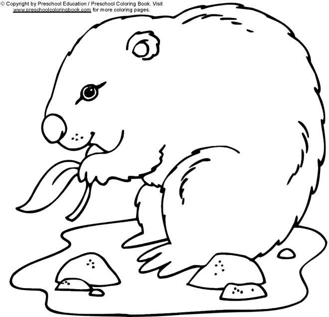 Coloring Pages Groundhog Day title=