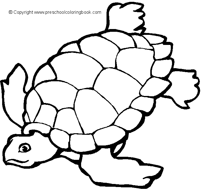 ocean life coloring pages preschool body - photo #39