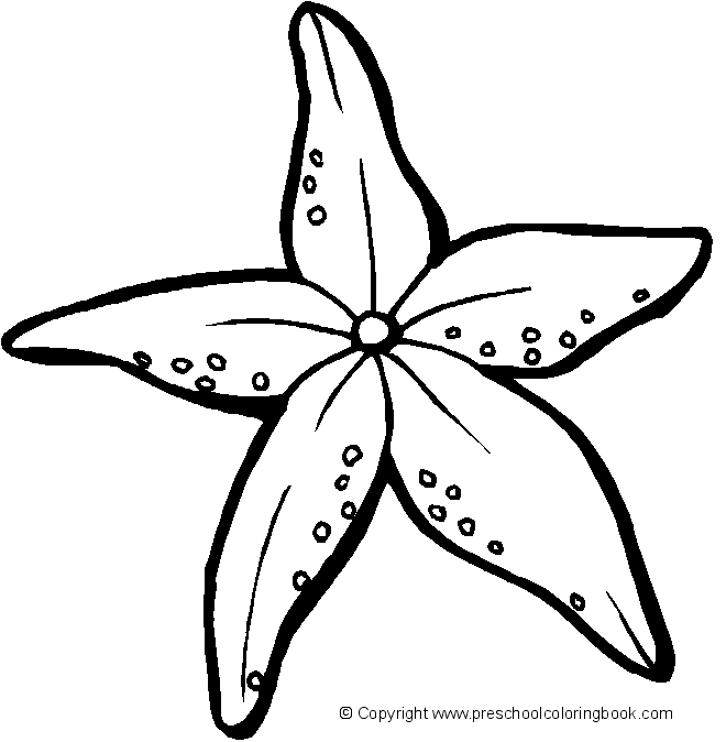 ocean life coloring pages for preschoolers - photo #9