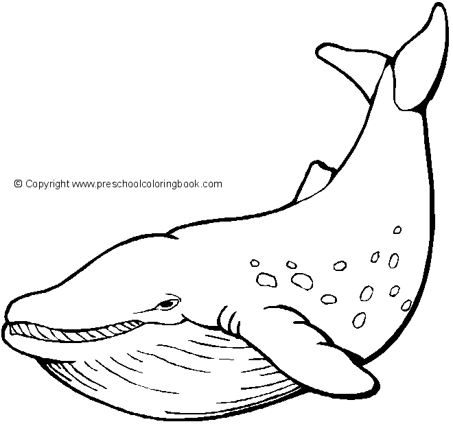 ocean life coloring pages for preschoolers - photo #15