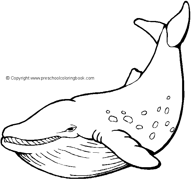 ocean life coloring pages preschool alphabet - photo #43